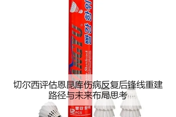 切尔西评估恩昆库伤病反复后锋线重建路径与未来布局思考