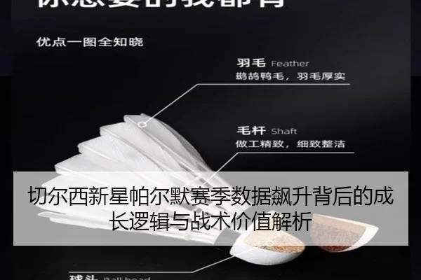 切尔西新星帕尔默赛季数据飙升背后的成长逻辑与战术价值解析