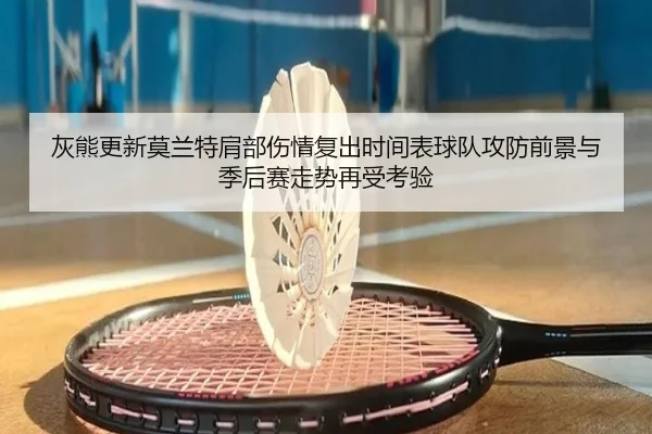 灰熊更新莫兰特肩部伤情复出时间表球队攻防前景与季后赛走势再受考验