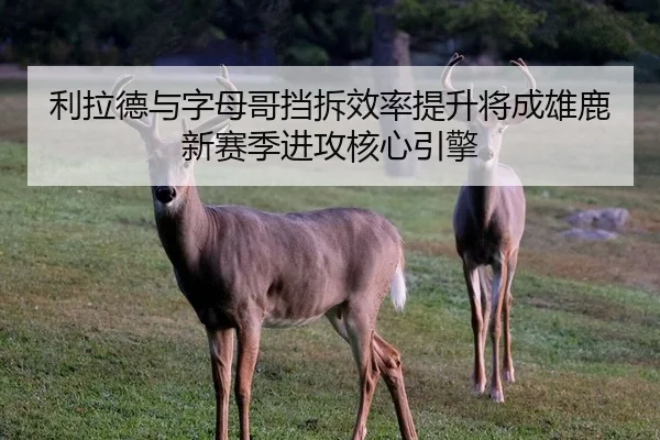 利拉德与字母哥挡拆效率提升将成雄鹿新赛季进攻核心引擎